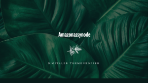 Mehr über den Artikel erfahren Themenkoffer zur Amazonassynode