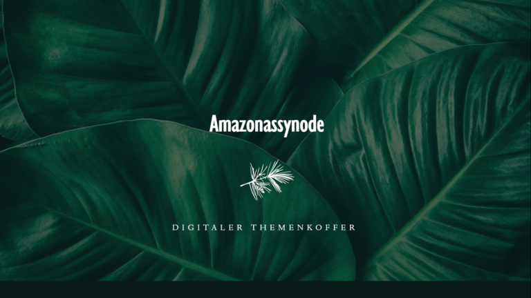 Read more about the article Themenkoffer zur Amazonassynode