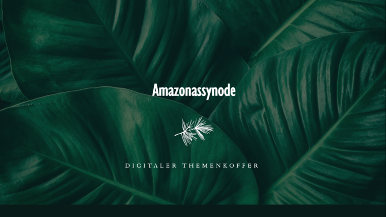 Mehr über den Artikel erfahren Themenkoffer zur Amazonassynode